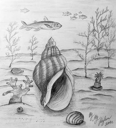 Ally_Kozlova._Shells