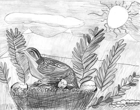 Anastasia_Aleksandrova._Bird