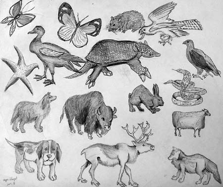 Andrey_Levanidov._Sketches_1
