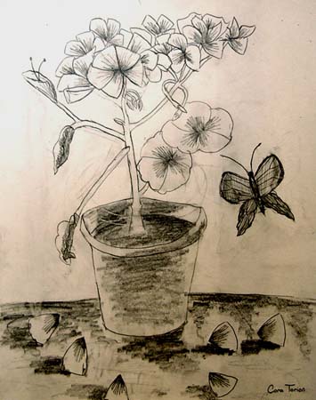 Cora_Torion._Flowers_1