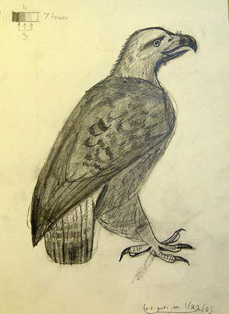 Grigory_Myznikov._Bird