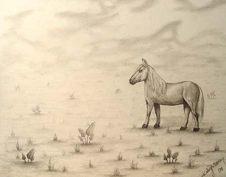 Kelsey_Stoeser._Horse
