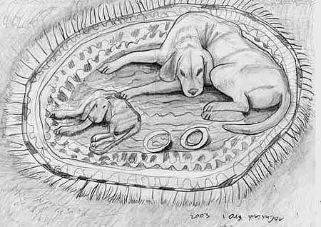 Olga_Yevsyugov._Dogs