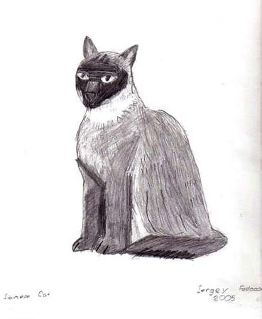 Sergey_Fedossov._Siamese_cat