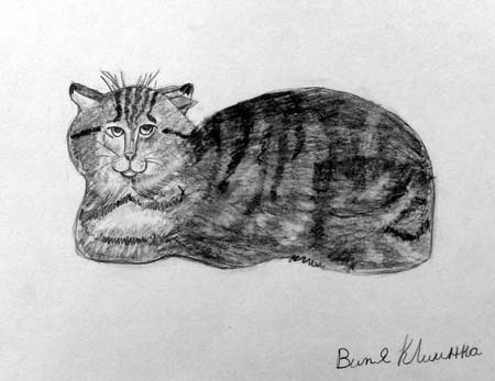 Viktor_Klimenko._Cat