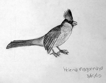 Yelena_Nagornaya._Bird