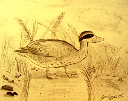 Yuliya Mogulevskay._Duck
