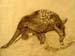 Anton_Benbalit._Animal