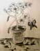 Cora_Torion._Flowers_1