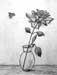 Darya_Vorobyeva._A_rose_and_a_bee