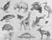 Dmitry_Minyailov._Sketches_1