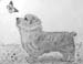 Gabriela_Park._Dog_2