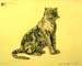 Garry_Kroshko._Tiger