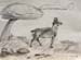 John_Fortygin._In_the_landscape