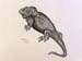 Nattaly_Hueso._Lizard