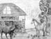 Tatiana_Fortygin._Animal_farm