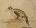 Tristan_Myznikov._Bird