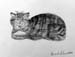 Viktor_Klimenko._Cat