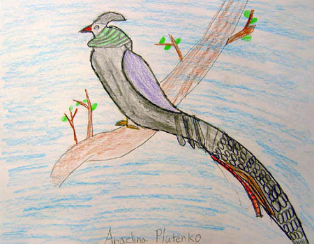 Angelna_Plutenko._Bird_1