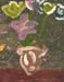Tasia_Bogachov._Flowers