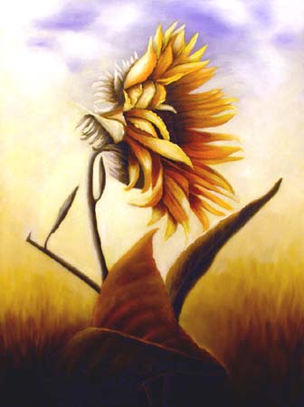 Mabelle._Sunflower