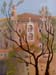 Gabriela_Park._Landscape_(oil)