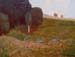 Olga_Yevsyugov._Landscape_1_(study)_oil