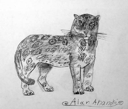 Leopard