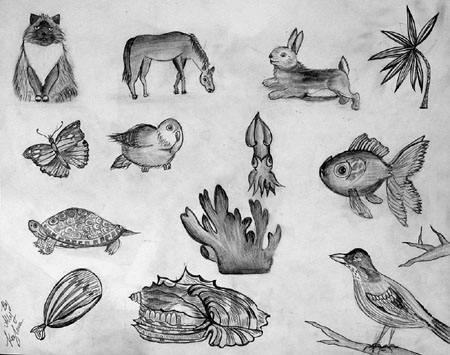 Sketches_2