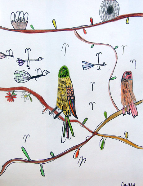 Birds