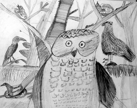 Birds