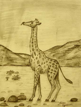 Giraffe