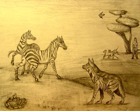 Animals