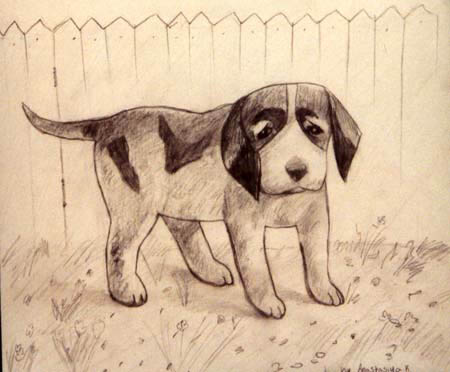 Dog