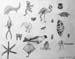 Sketches_1