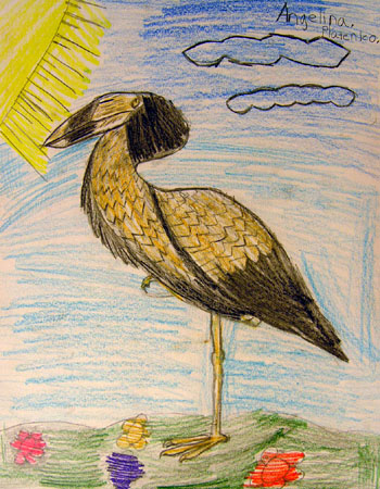 Bird