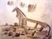Horse_2007