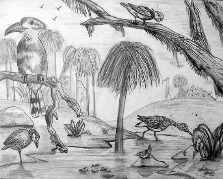 Birds