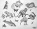 Sketches_2