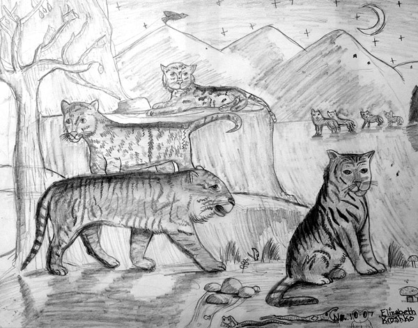Animals