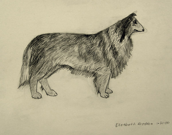 Dog