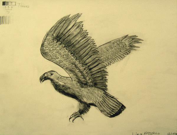 Eagle