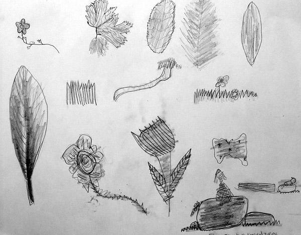 Sketches