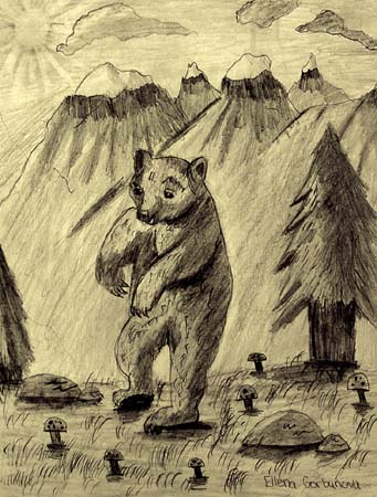 Bear