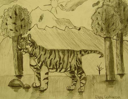 Tiger