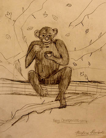 Monkey