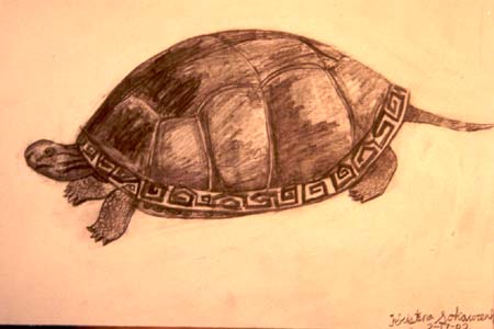 Turtle