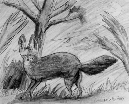 Fox