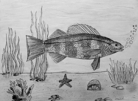 Fish