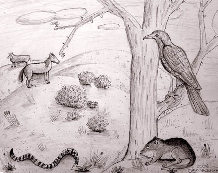 Animals
